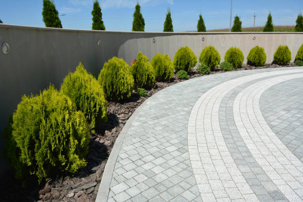 Trusted Avila Beach, CA Driveway Pavers Experts